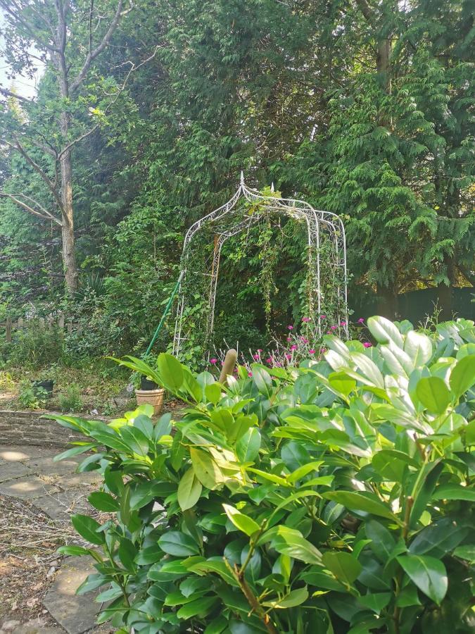 Peaceful Retreat Hideaway Surrey Διαμέρισμα Esher Εξωτερικό φωτογραφία